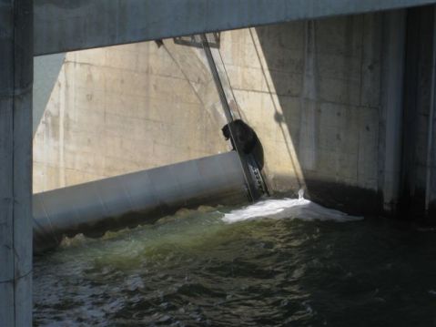 5617085552_2e7d4ba016_o