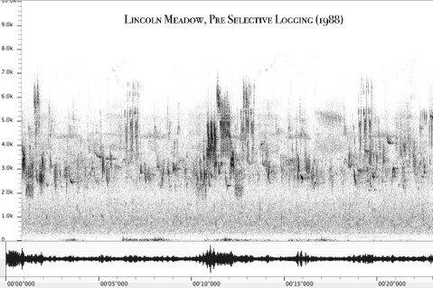 Spectrogram 3