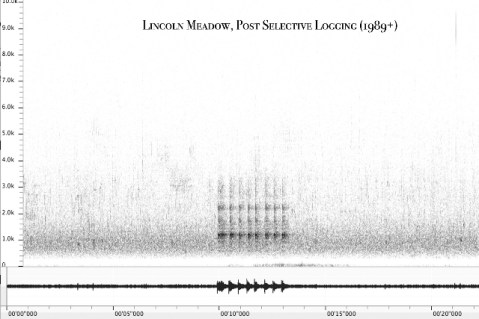 Spectrogram 4