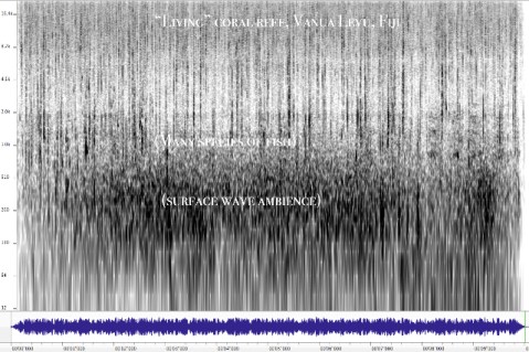 Spectrogram1