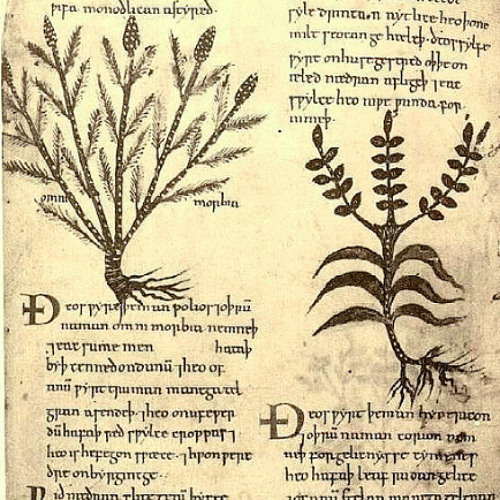 artworks-000106251789-de5jf1-t500x500