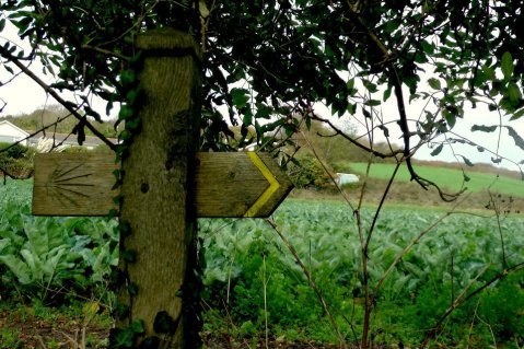 Photo by the author, Gulval, Cornwall