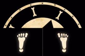 feet