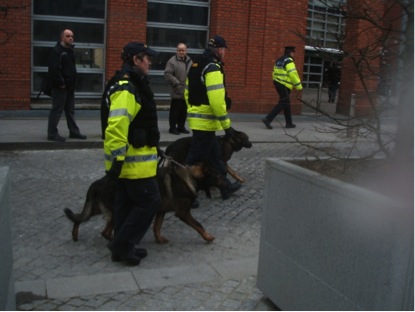 Security at the horse fair