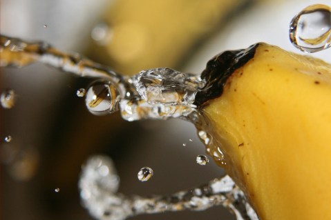 1393526855_fe755ab736_b