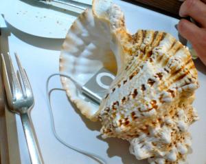 "Sound of the Sea" by Flickr user Cennydd Bowles, CC BY-NC-SA 2.0