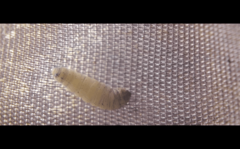 Screen Shot 2014-07-23 at 10.04.09 AM