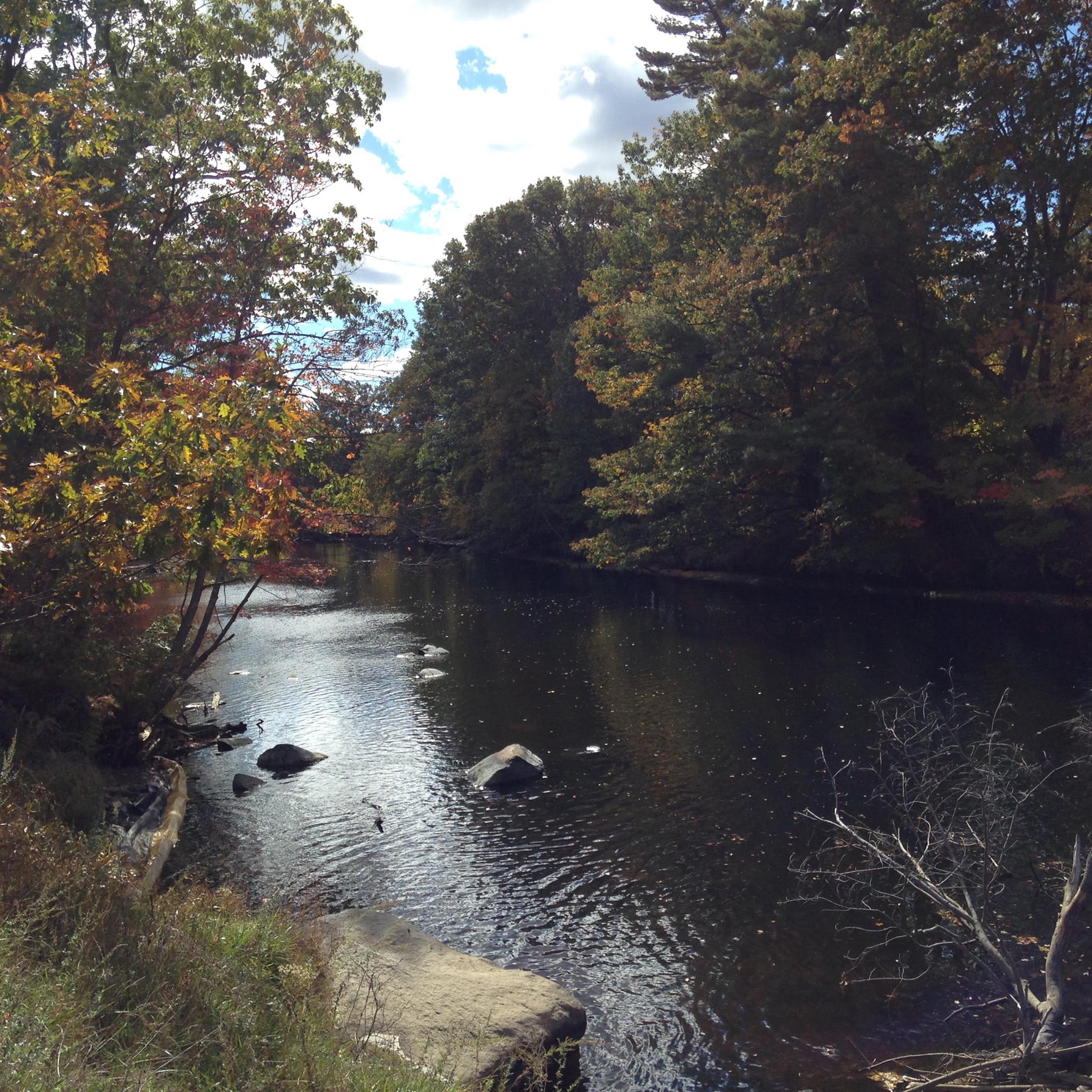 A peaceful view of the Merrimack River in New Hampshire during Fall. It is calmer and a shade of dark green, reflecting the trees, although some have begun to turn shades of yellow and orange.
