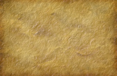 3727077988_21fecab9e0_o