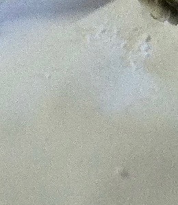 Close up of parchment “dust.”