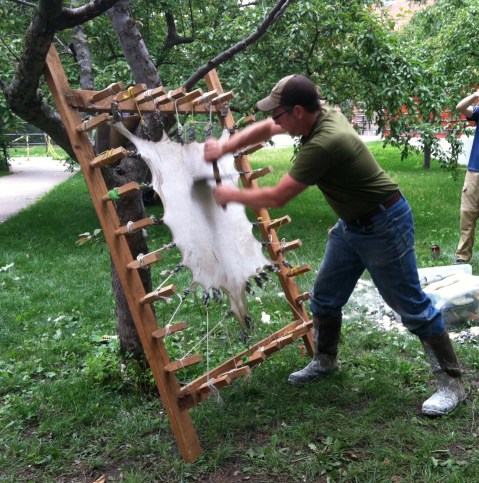 Parchment master, Jesse Meyer of Pergamena demonstrating his technique using a tool he created himself, designed after the fashion of medieval instruments. 