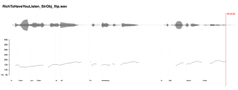 richpitchcontourflip