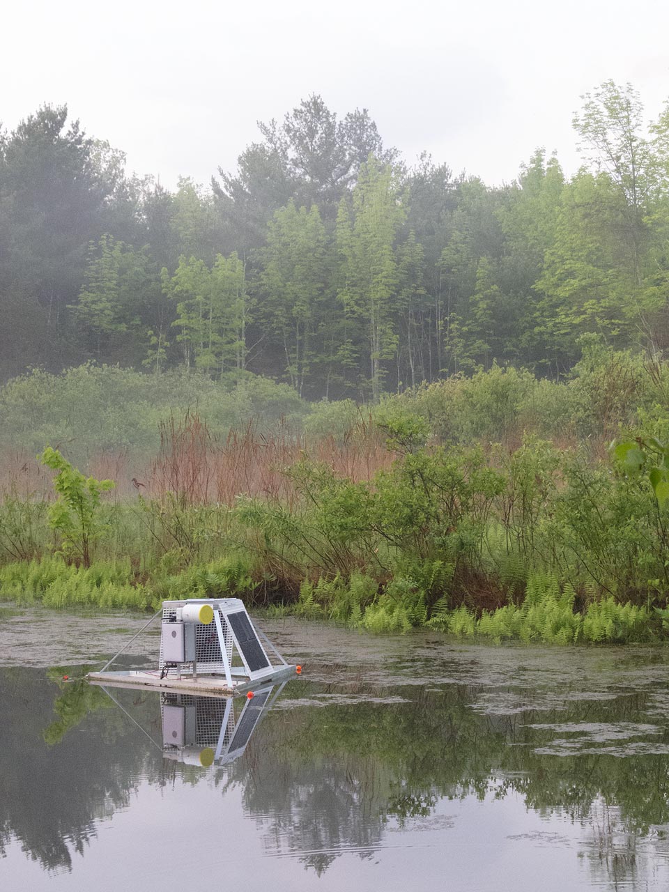 Pond Station in the Morning by Zach Poff, Reproduced with Authorization