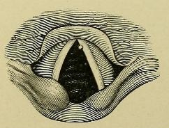 45827818985_2b7b3a387c.jpg