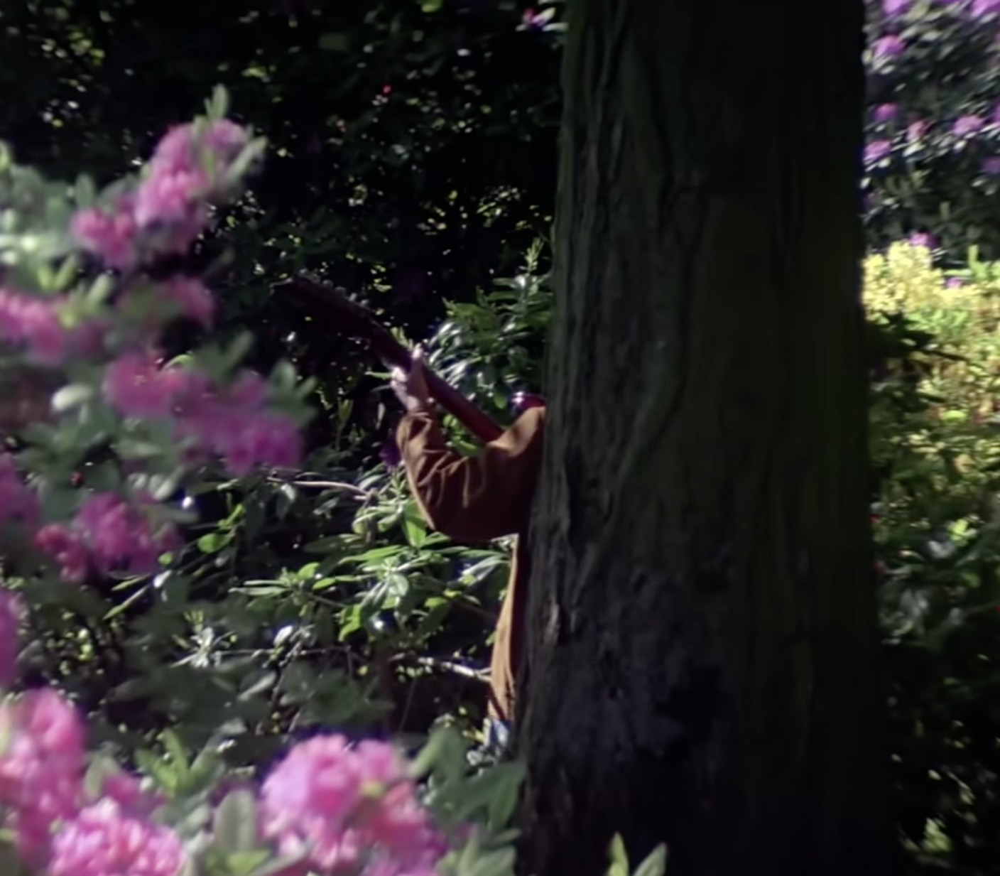 Darr, 1993